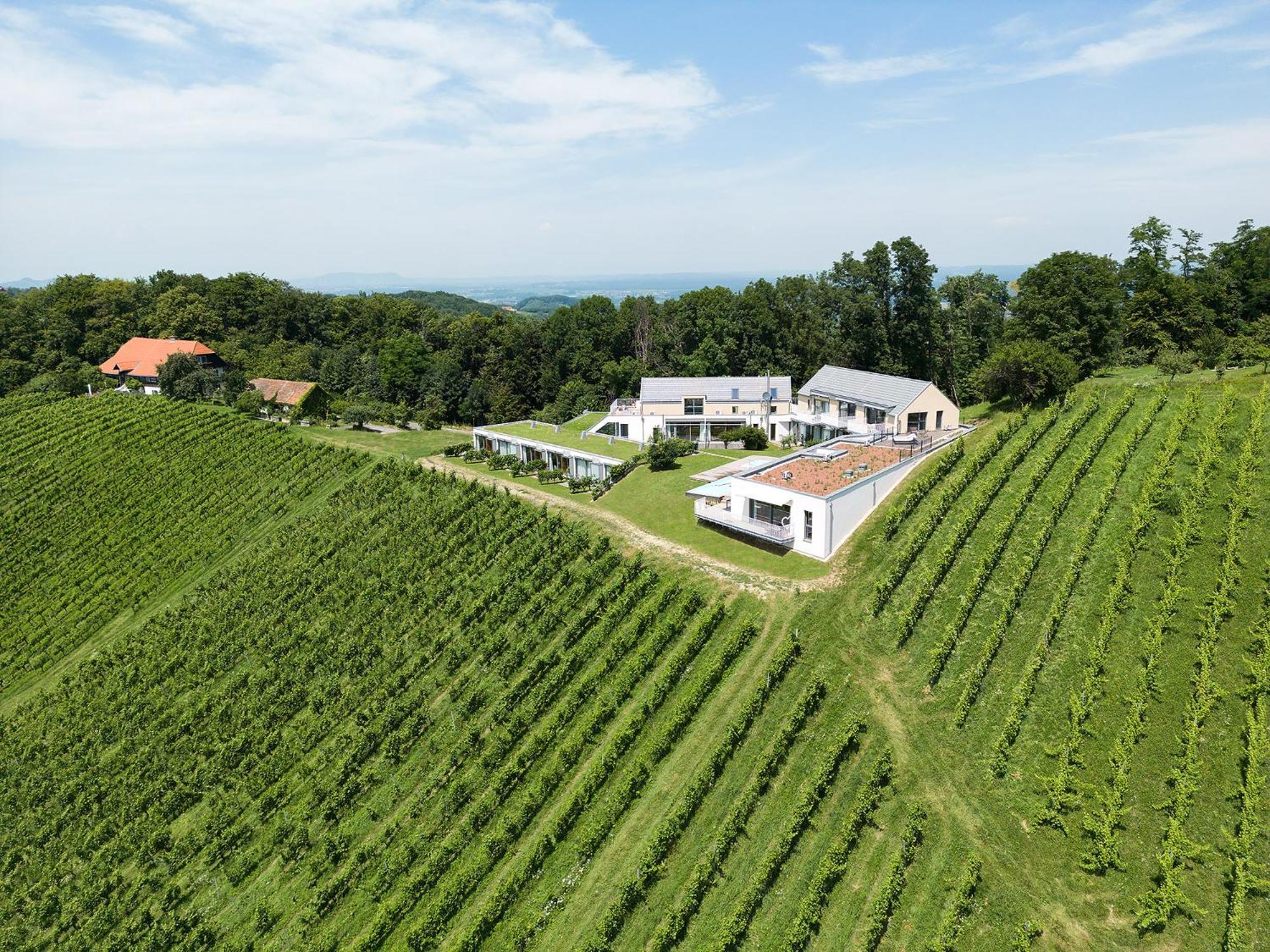 Hideaway An Der Weinstrasse - Pool & Sauna - Apartments Anderlage 스피에펠트 외부 사진